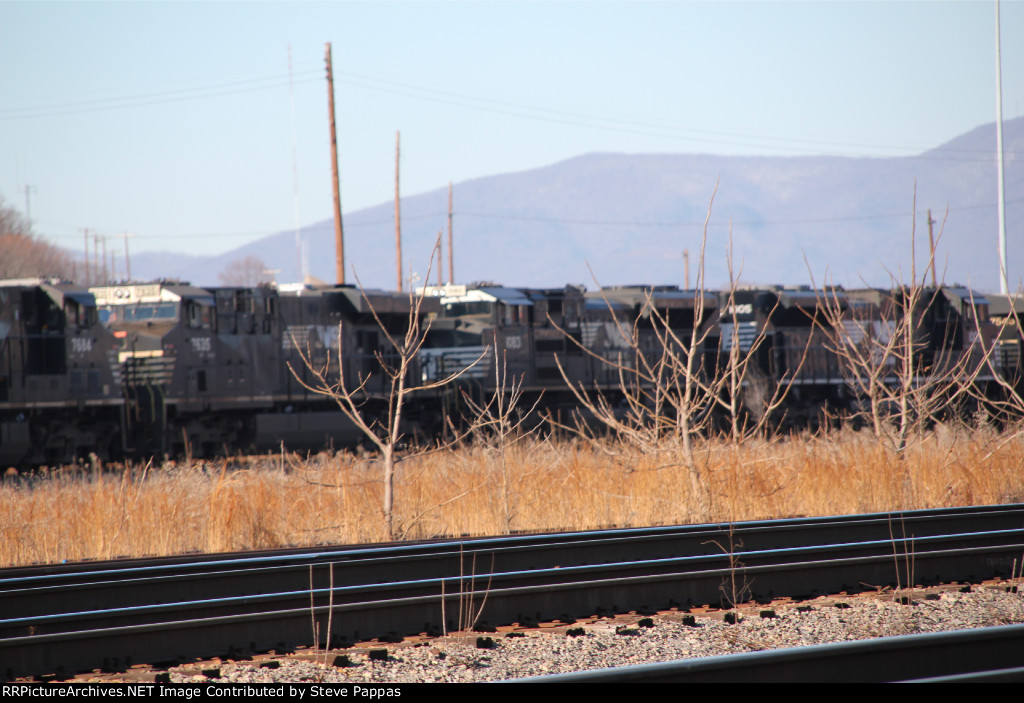 NS units in Roanoke